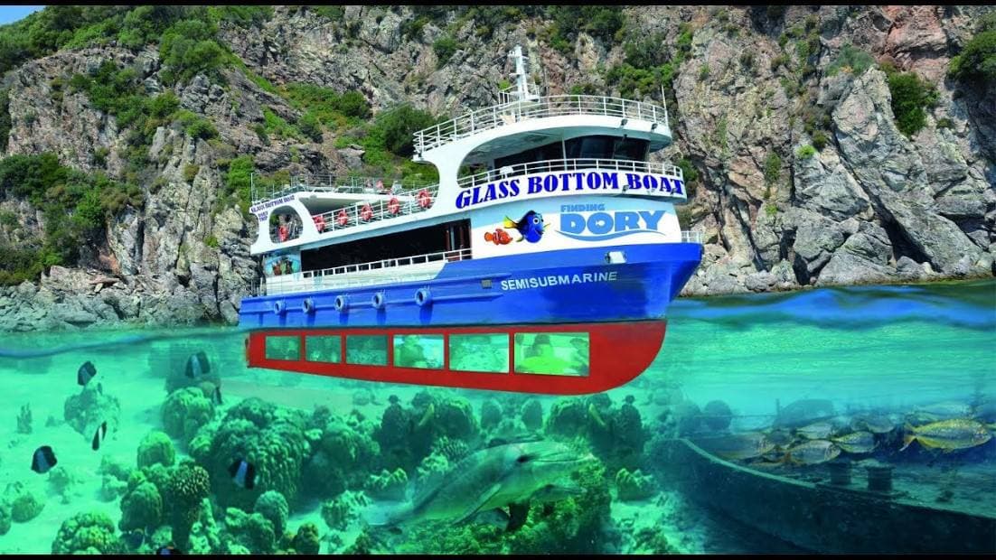 Semisubmarine - Gezi Gemisi - 2