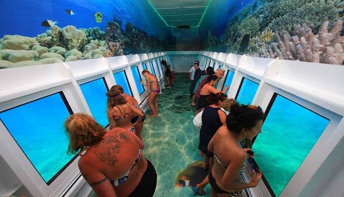 Semisubmarine - Gezi Gemisi - 3